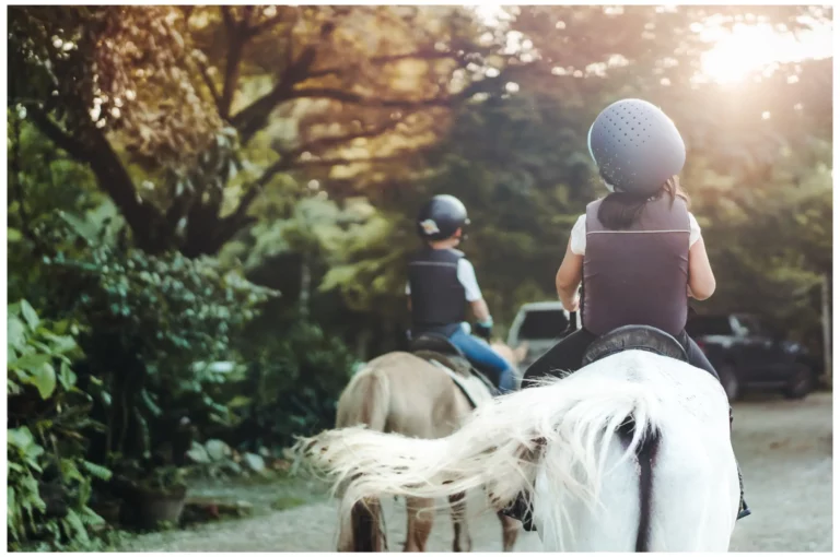Apprendre à travers l'équitation : « Les élèves étaient apaisés »