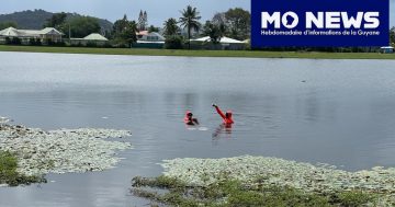 Le corps d'un homme a été retrouvé ce dimanche peu avant midi dans le lac Bois Diable à Kourou. Les gendarmes et le maire de Kourou se sont rendus sur place (Crédit photo 📸 : Témoin Mo News)