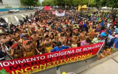 © Conselho Indigena de Roraima